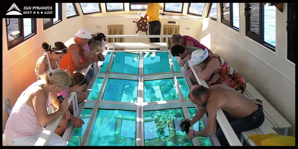 Glass-Bottom Boat